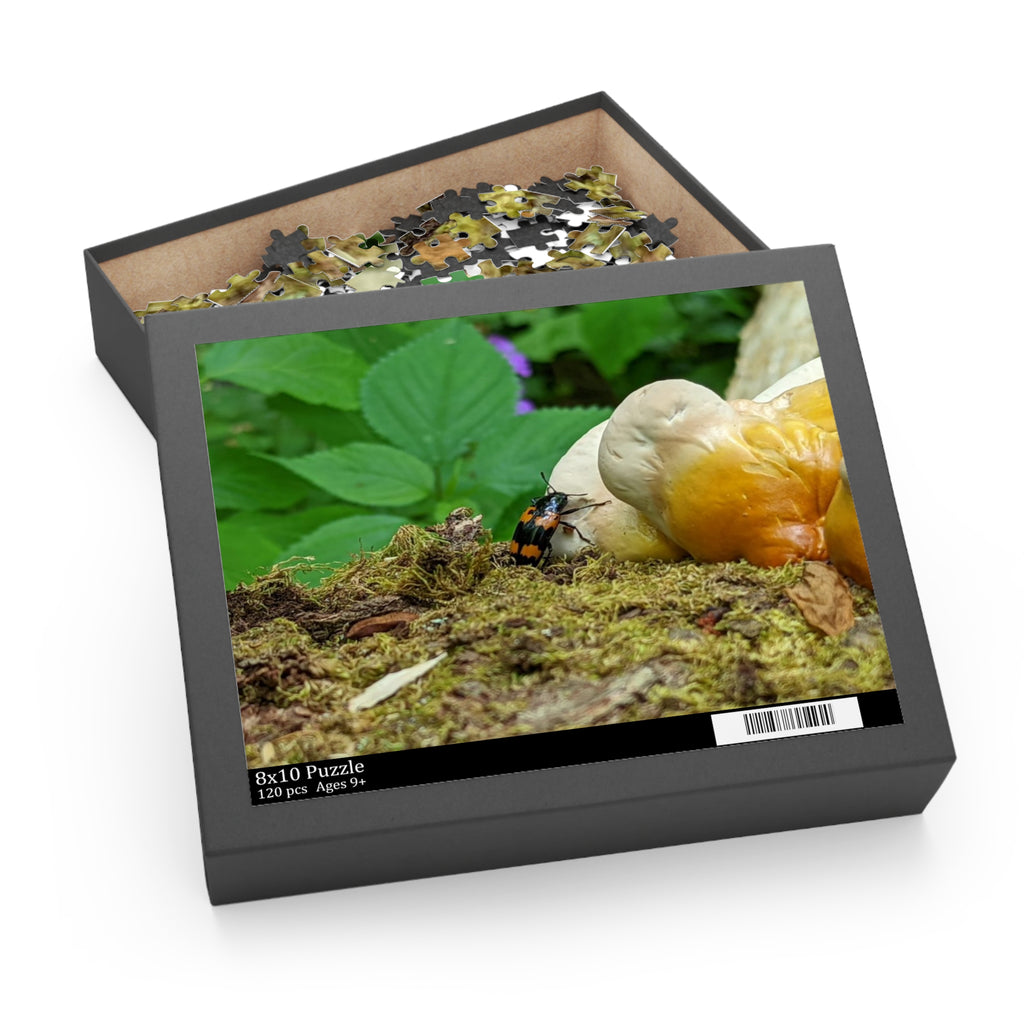 Elkmont Trail Hidden Treasures Jigsaw Puzzle