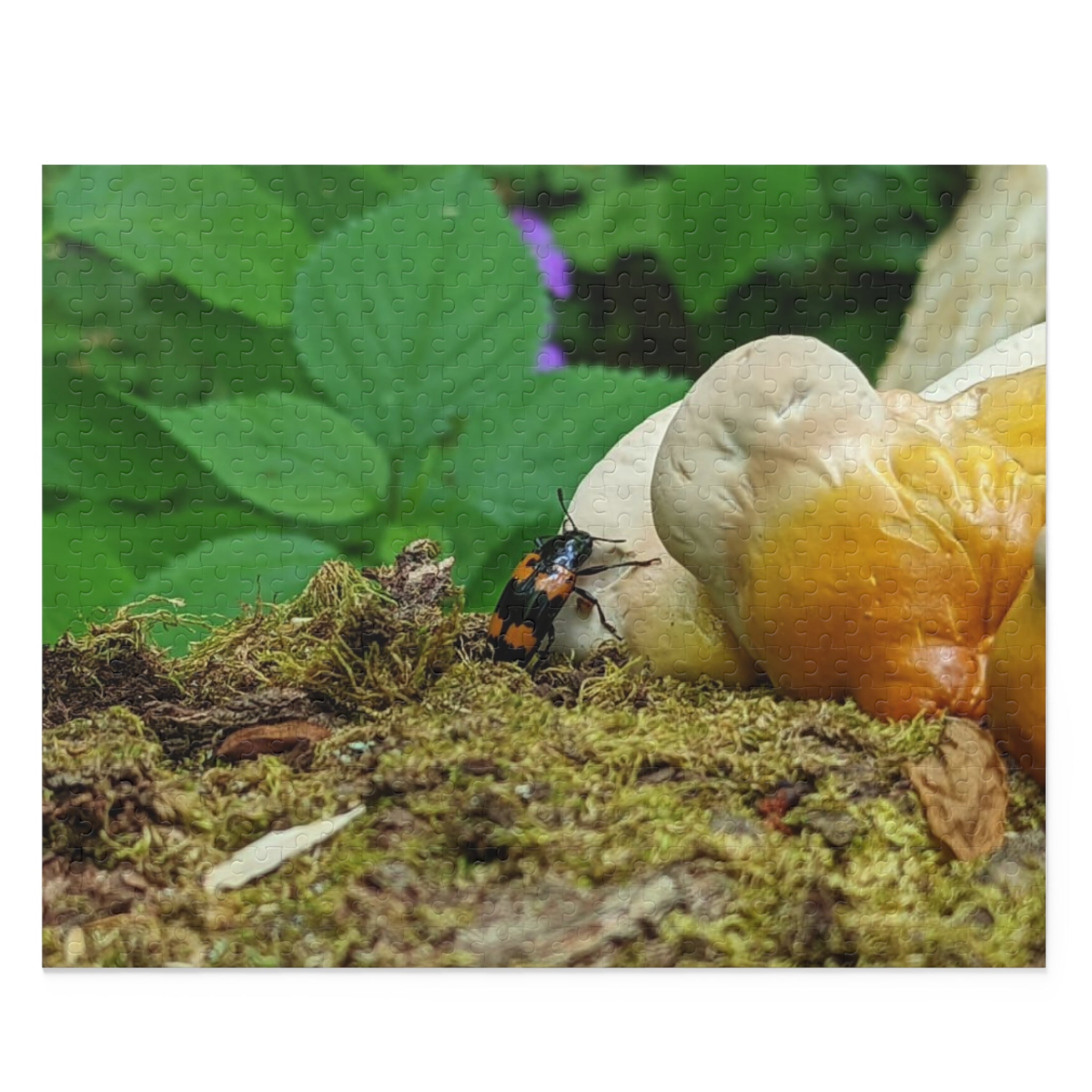 Elkmont Trail Hidden Treasures Jigsaw Puzzle
