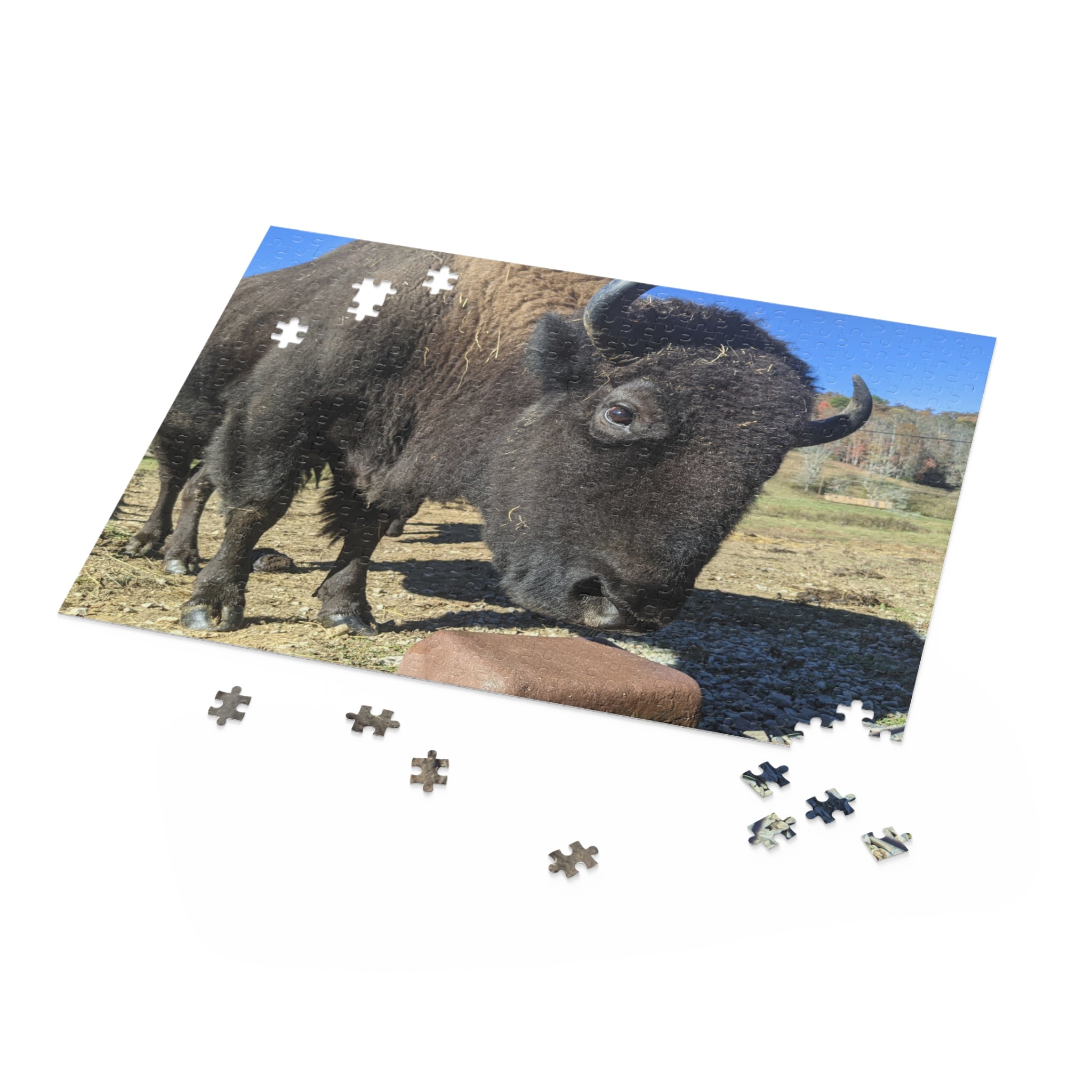 The Brown Farm Bison Scenic Jigsaw Puzzle