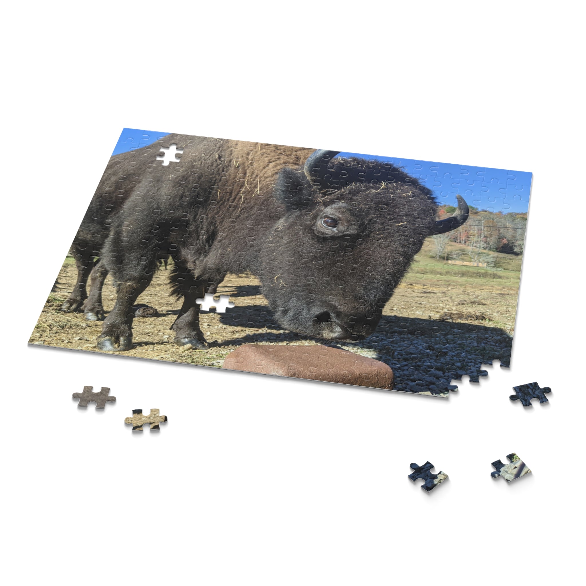 The Brown Farm Bison Scenic Jigsaw Puzzle