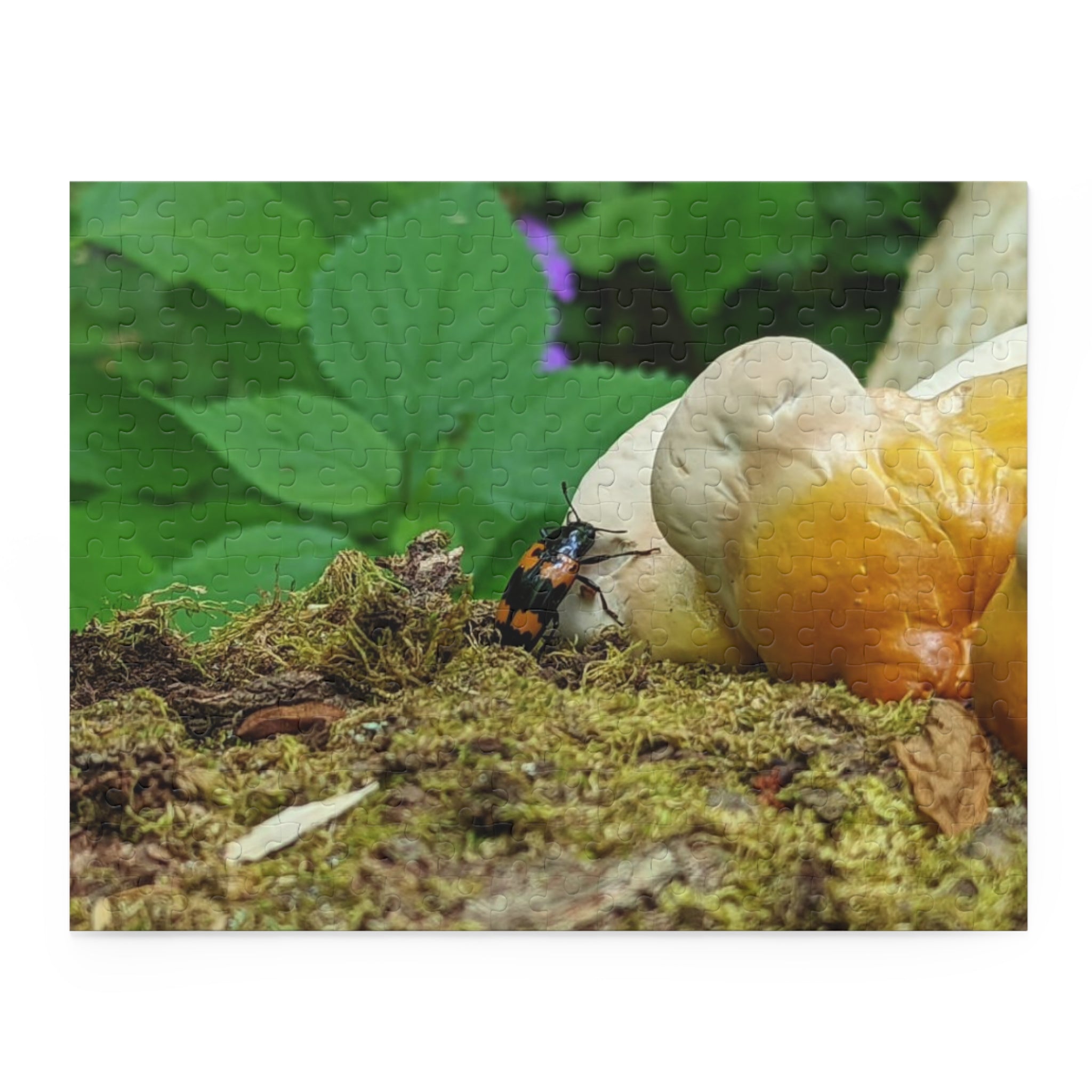 Elkmont Trail Hidden Treasures Jigsaw Puzzle