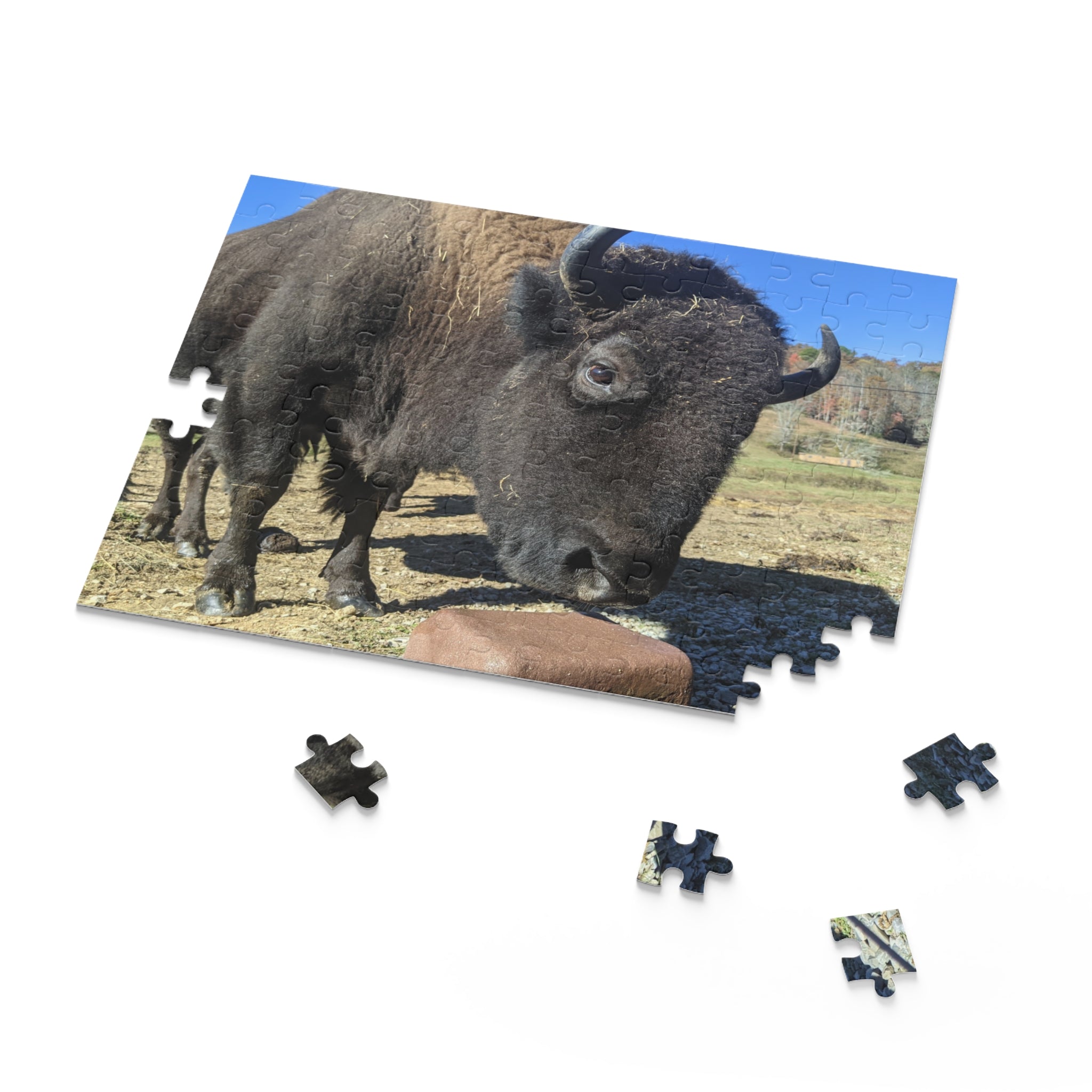The Brown Farm Bison Scenic Jigsaw Puzzle