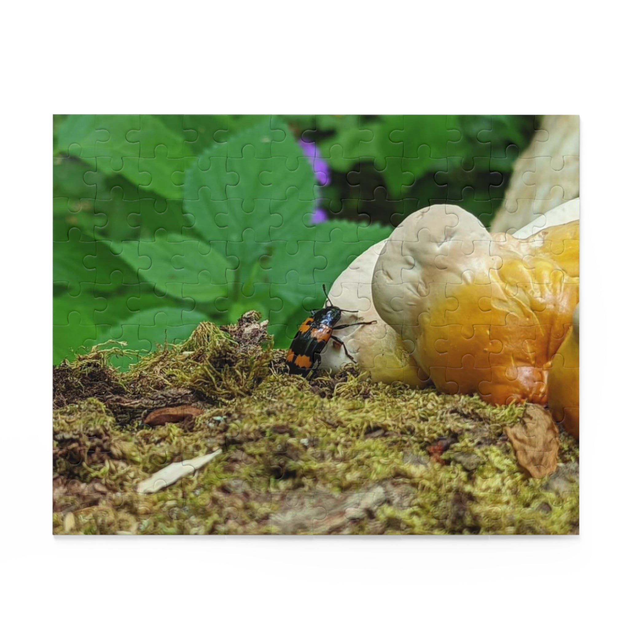 Elkmont Trail Hidden Treasures Jigsaw Puzzle