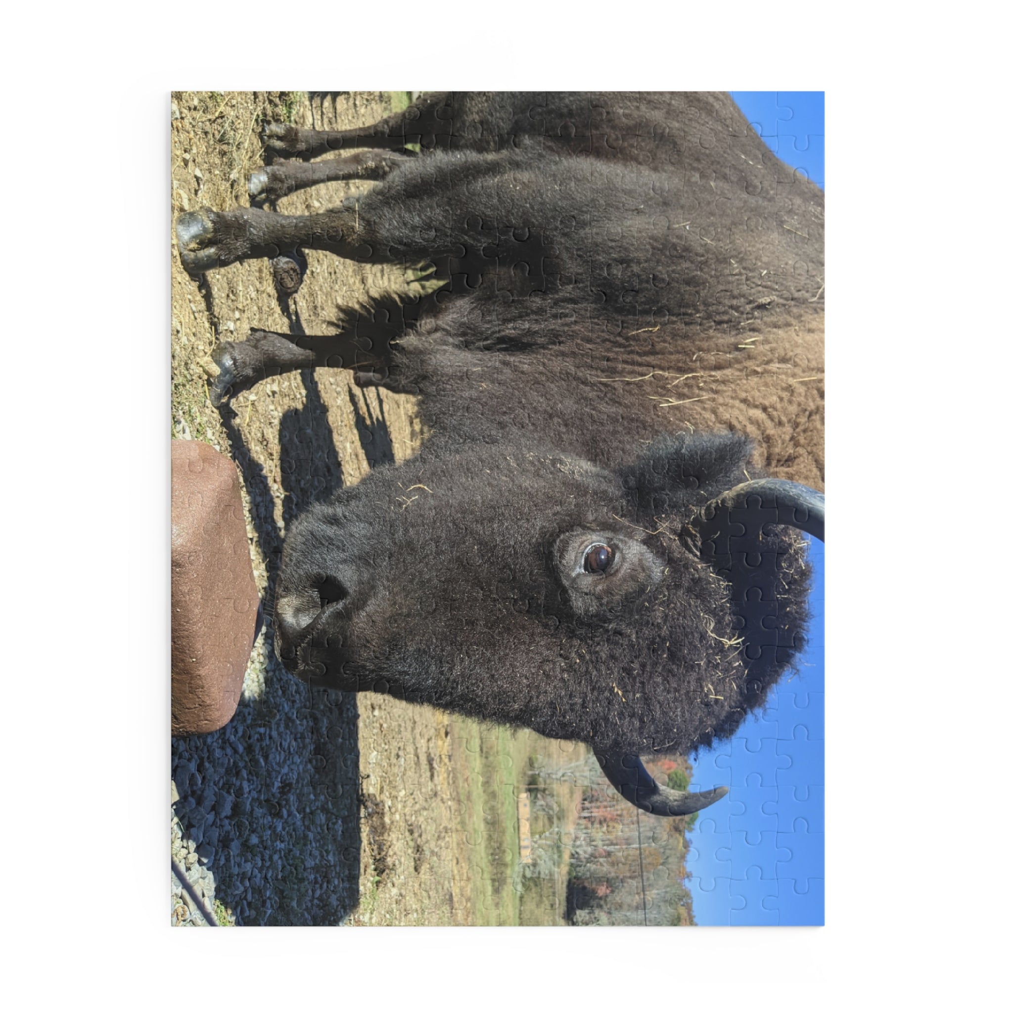 The Brown Farm Bison Scenic Jigsaw Puzzle
